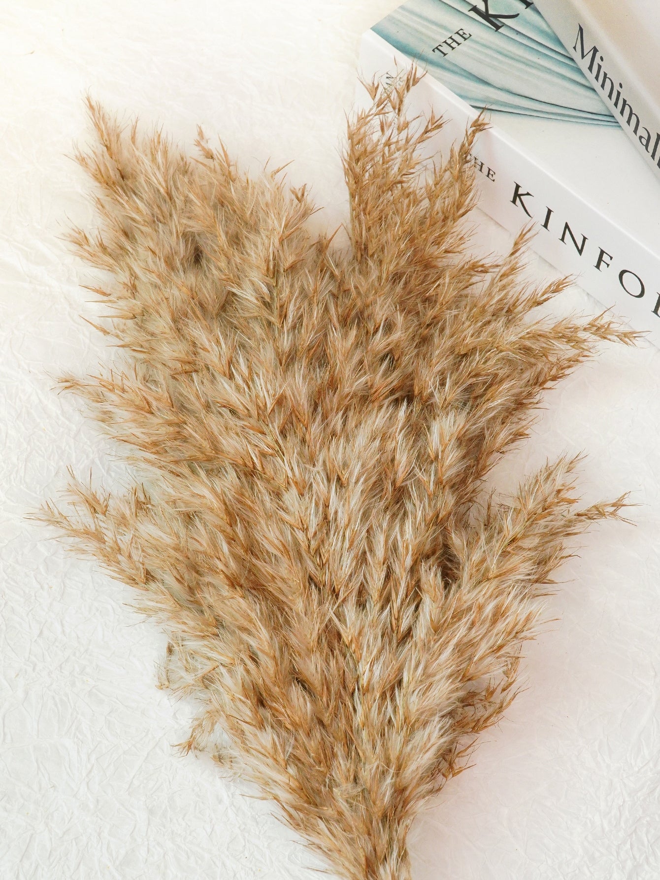 نباتات اصطناعية