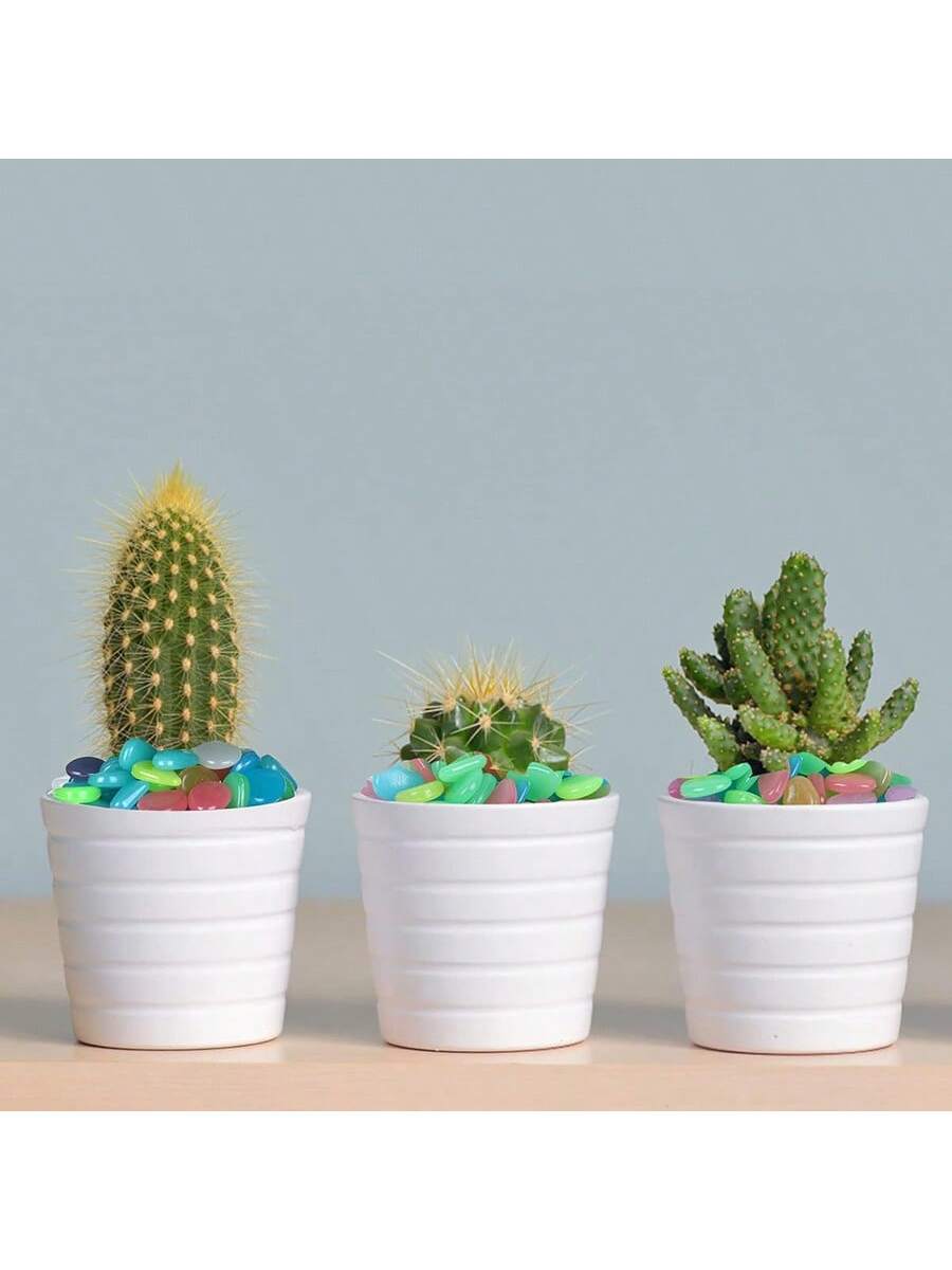 حصى يتوهجون في الظلام، صخور لامعة، حصى ملونة مضيئة، للديكور الداخلي والأسماك، الديكور الخارجي، الحديقة والمنزل وممر خارجي، الأسماك الاصطناعية وطريق وسرير الزهور والنباتات المزروعة وتصميم DIY للطريق (متعدد الألوان)