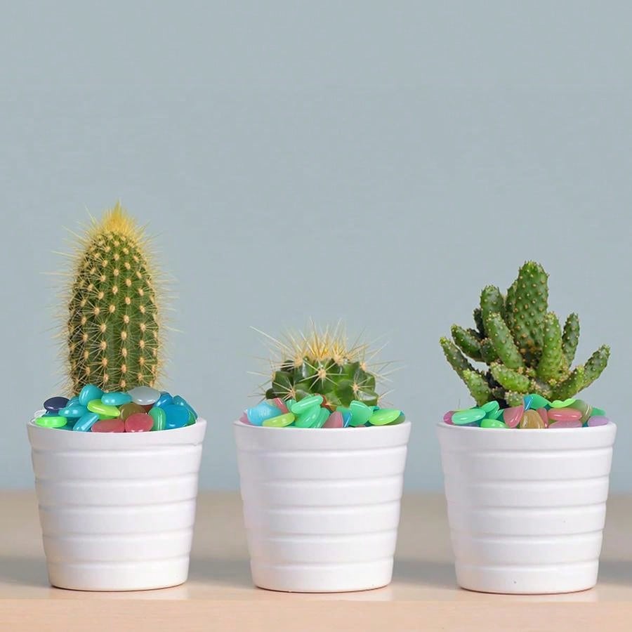 حصى يتوهجون في الظلام، صخور لامعة، حصى ملونة مضيئة، للديكور الداخلي والأسماك، الديكور الخارجي، الحديقة والمنزل وممر خارجي، الأسماك الاصطناعية وطريق وسرير الزهور والنباتات المزروعة وتصميم DIY للطريق (متعدد الألوان)