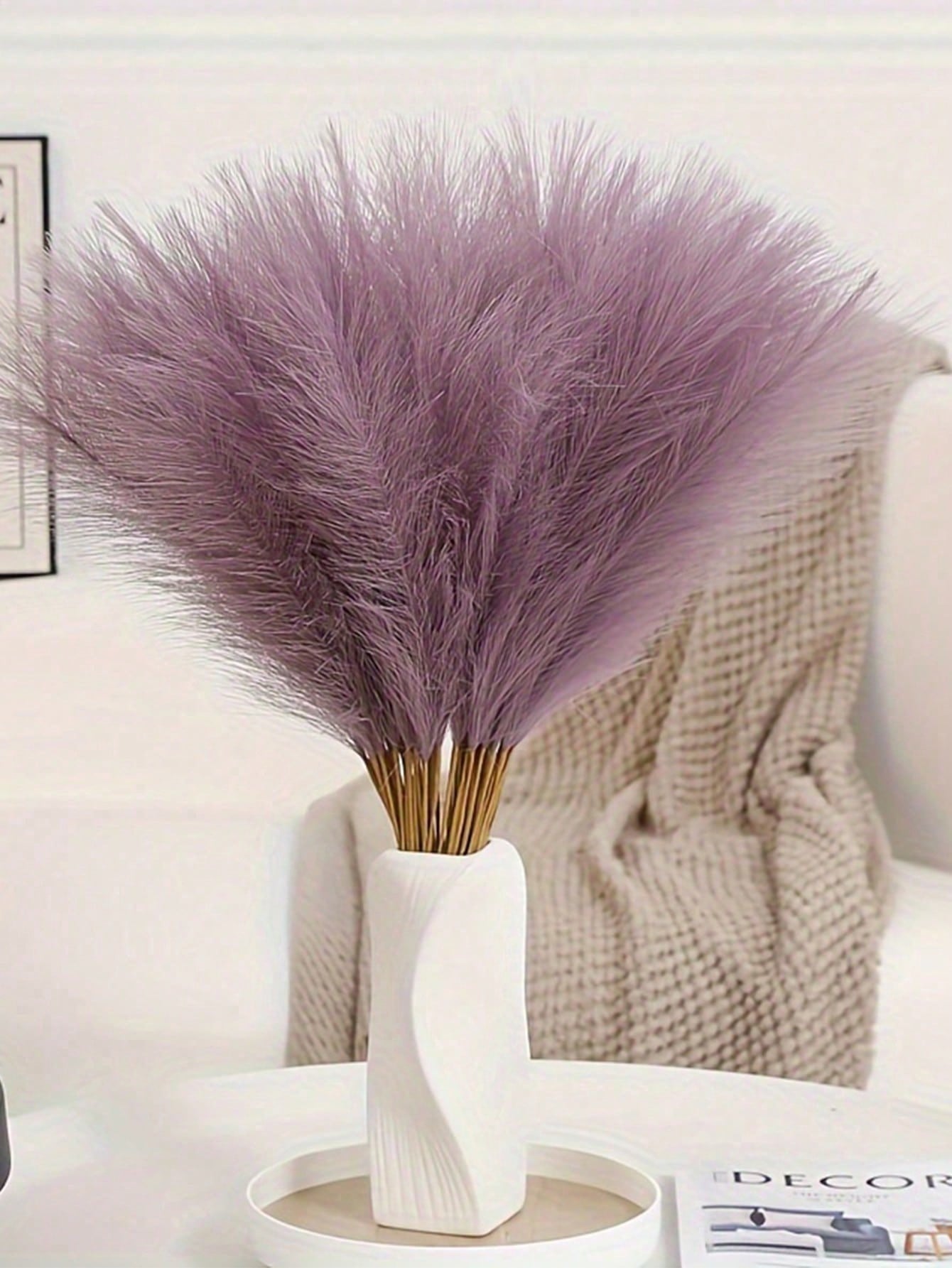 نبات لديكور المنزل