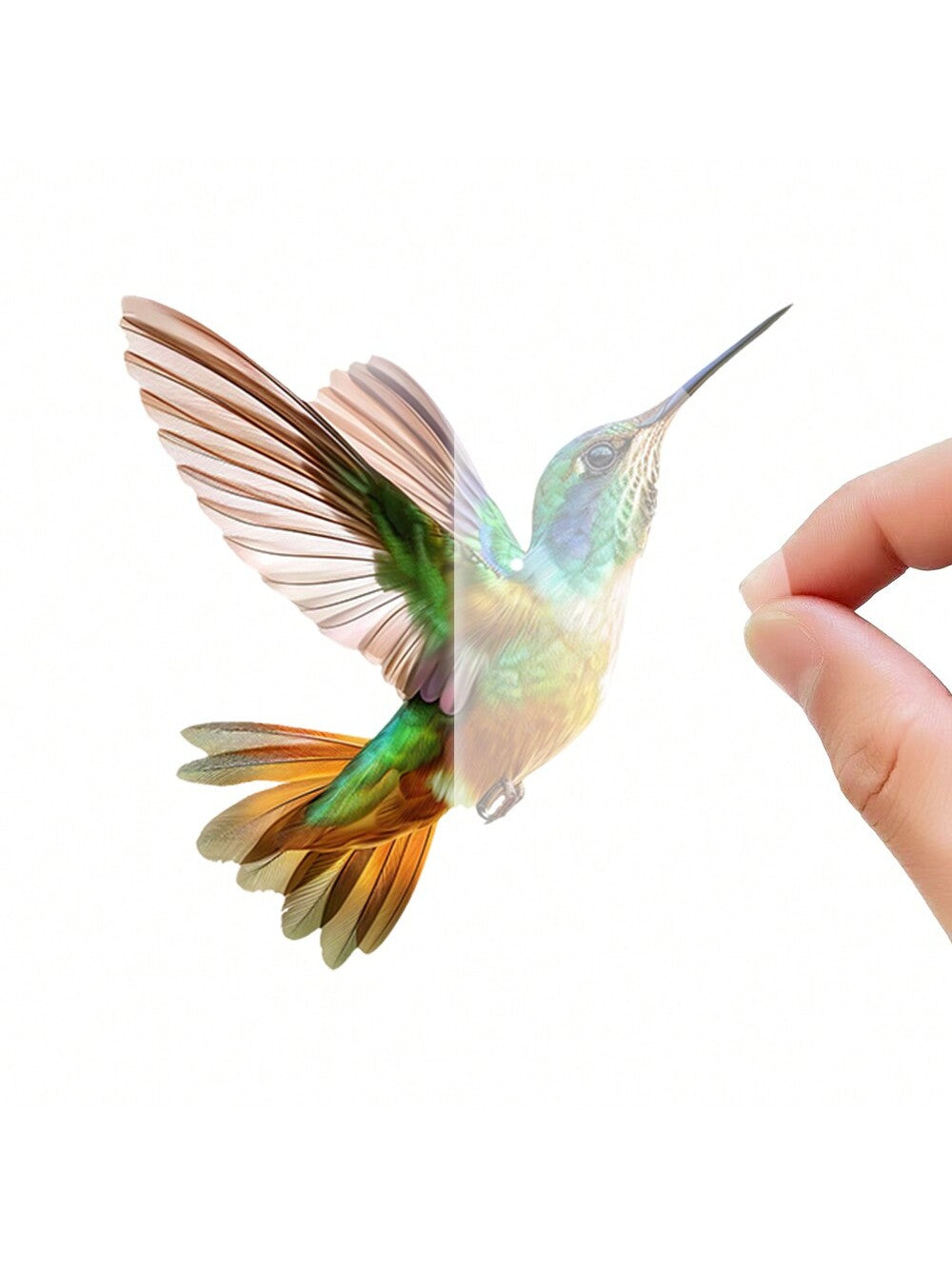 قلادة Colibri للسيارة مقاومة للماء من الأكريليك و مفتاح عصري