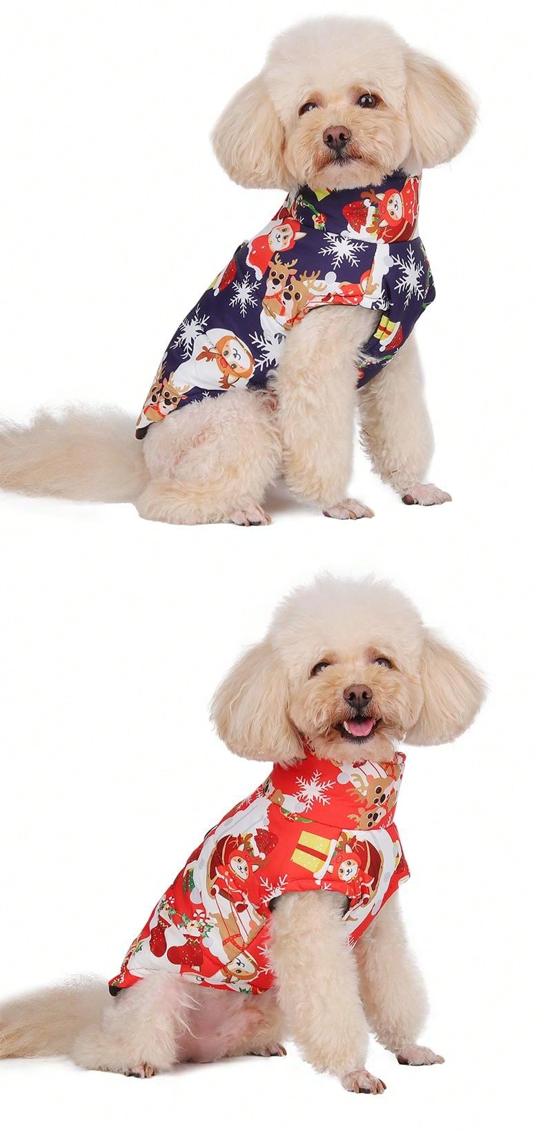 ملابس القطط والكلاب