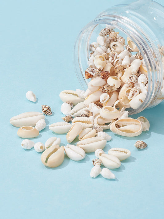 إكسسوارات مجوهرات DIY صدف 1 صندوق