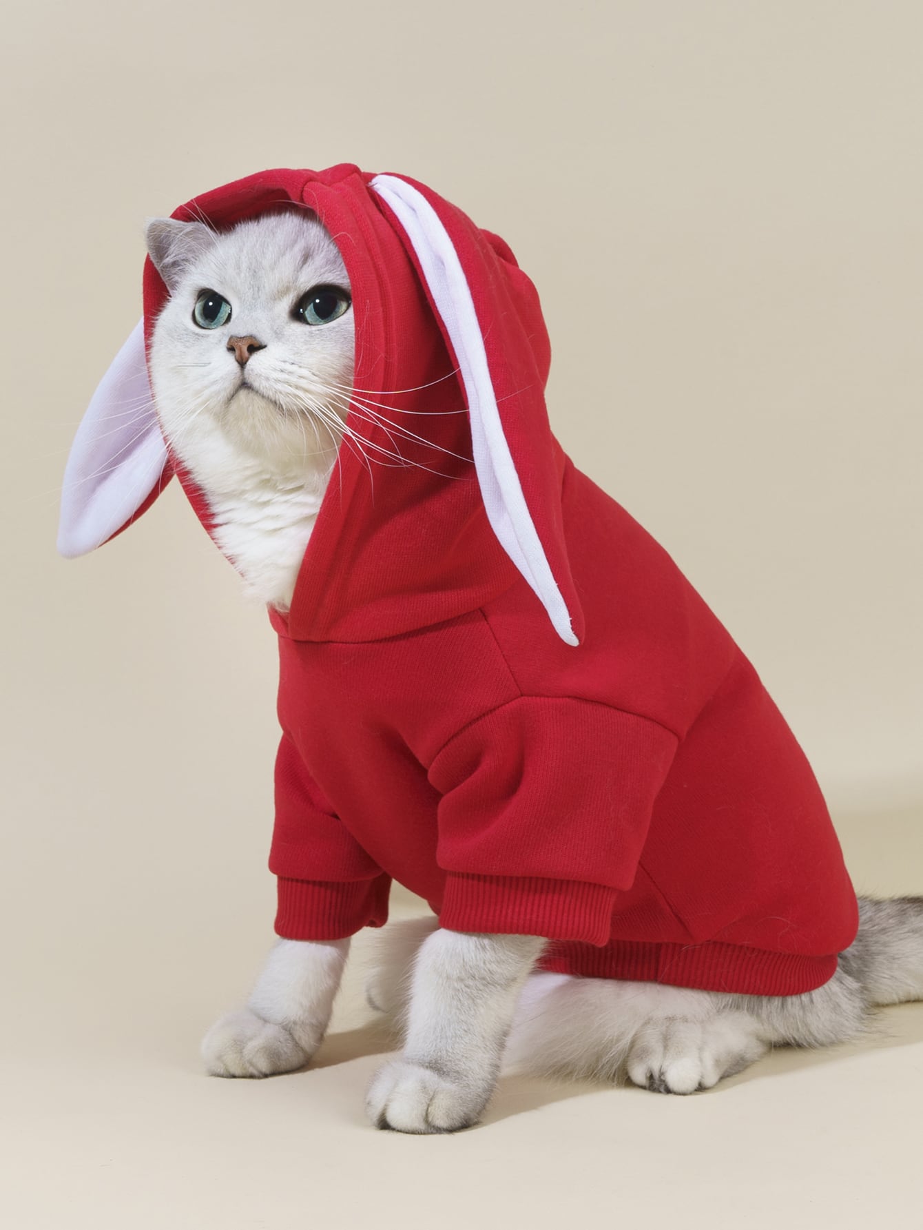 هودي حيوانات أليفة اذن ارنب تصميم