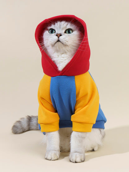 هودي حيوانات أليفة ألوان متجانسة