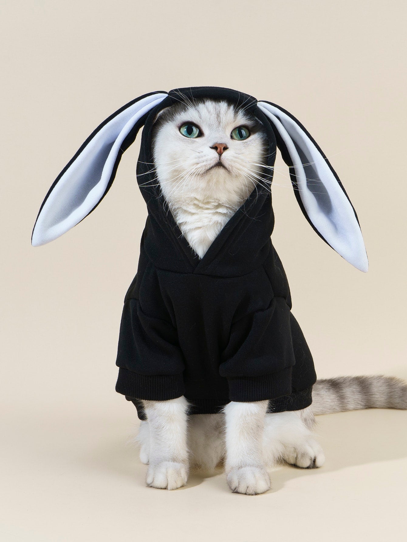 هودي حيوانات أليفة اذن ارنب تصميم