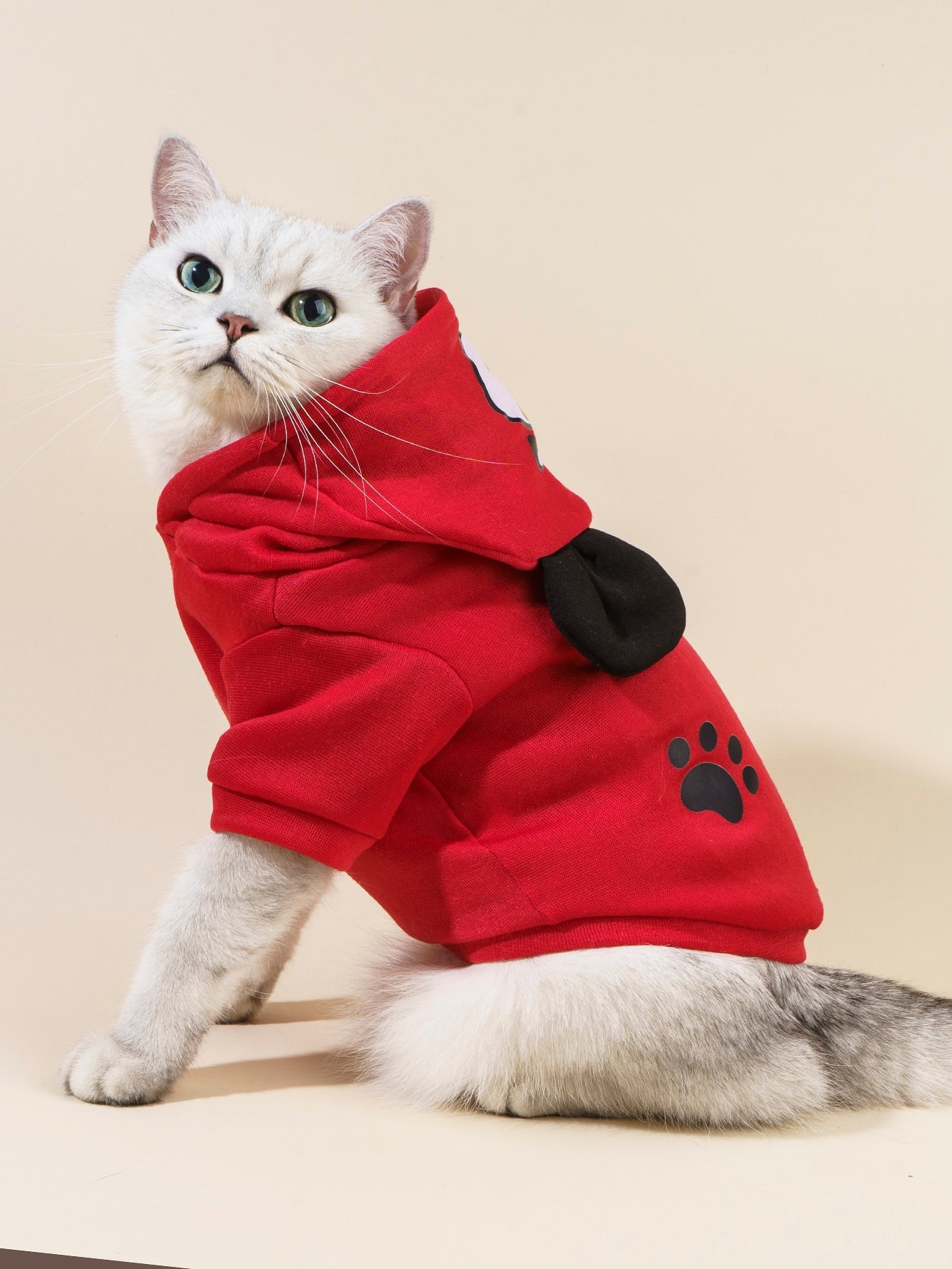 هودي حيوانات أليفة نمط الدب رسوم كارتون