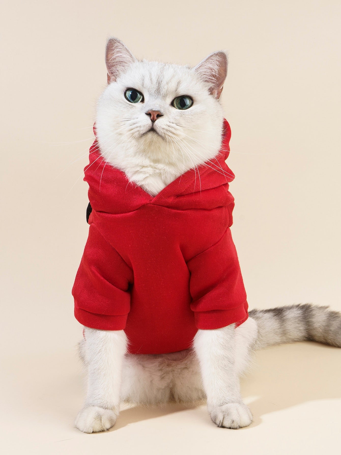 هودي حيوانات أليفة نمط الدب رسوم كارتون