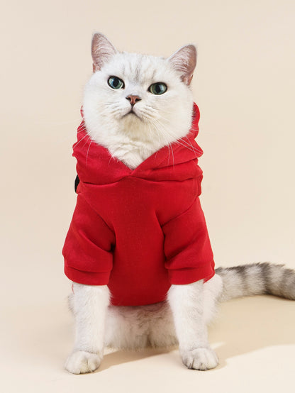 هودي حيوانات أليفة نمط الدب رسوم كارتون