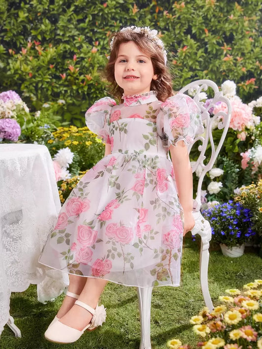 https://img.ltwebstatic.com/images3_pi/2023/02/20/16768761805355b8c3c9c82fb6692394b2af7b99aa_thumbnail_900x.webp