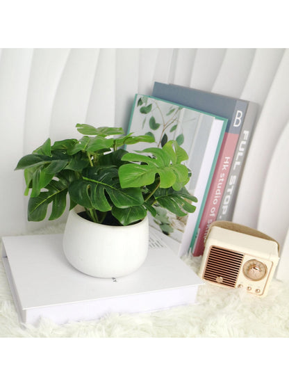 نبات صناعي بوعاء قطعة واحدة