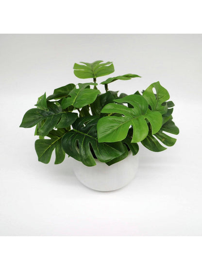 نبات صناعي بوعاء قطعة واحدة