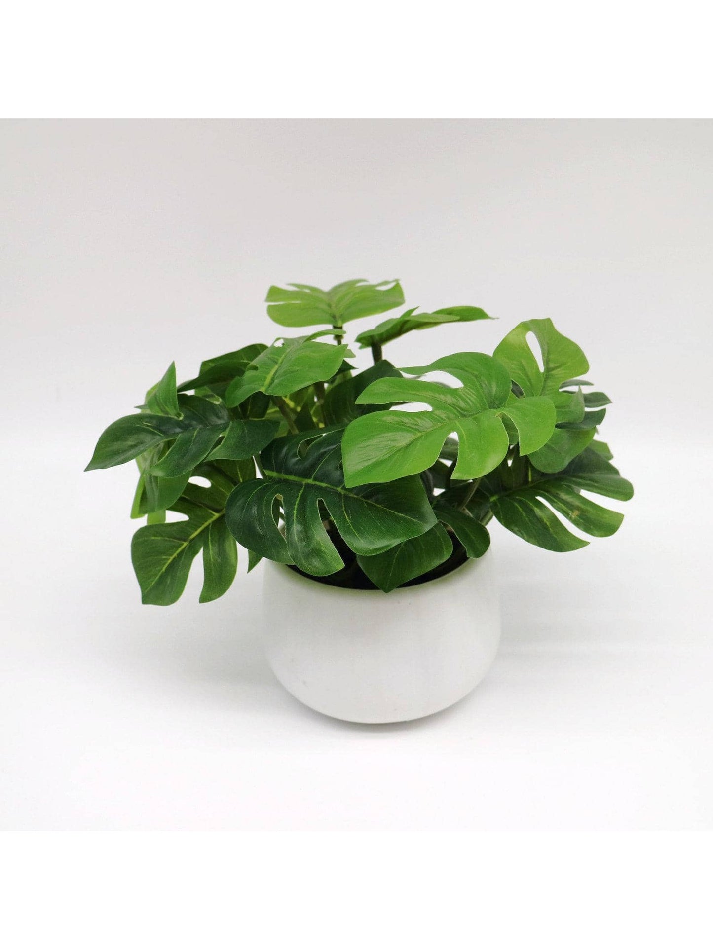 نبات صناعي بوعاء قطعة واحدة