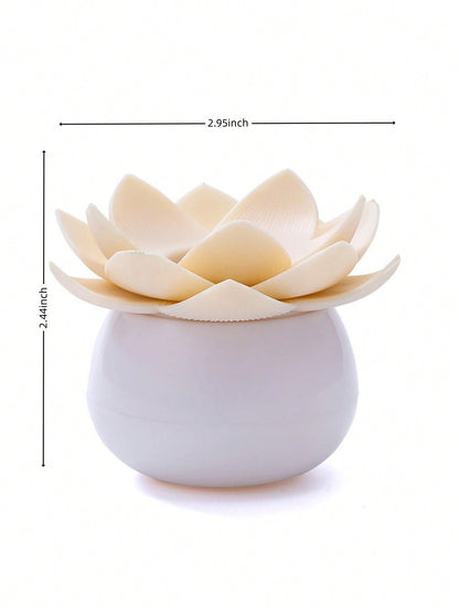 منظمات مكياج