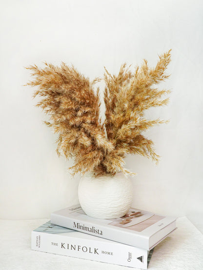 نباتات اصطناعية