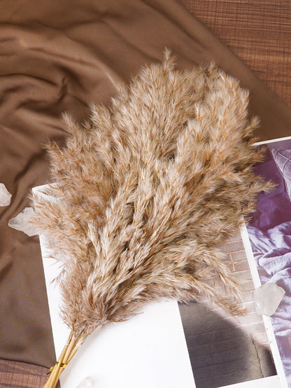 نباتات اصطناعية