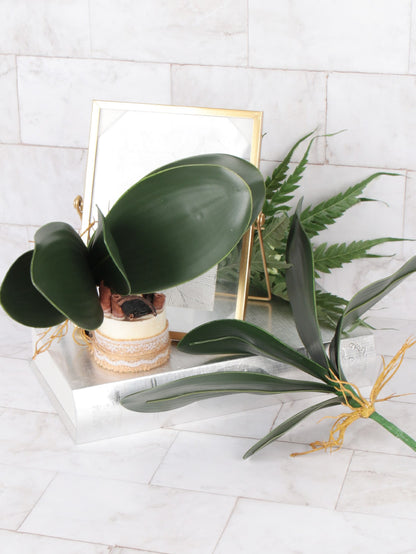 نبات صناعي خضراء اللون للتزين المنزل