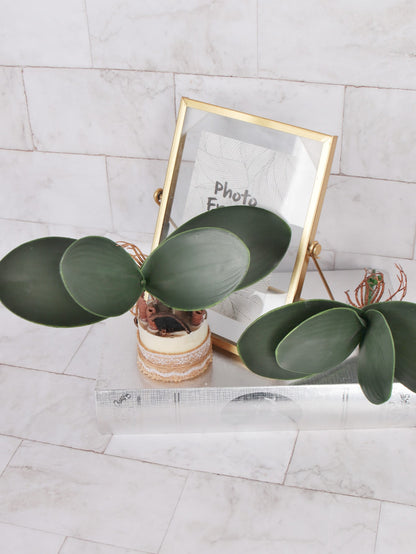 نبات صناعي خضراء لون لتزين المنزل