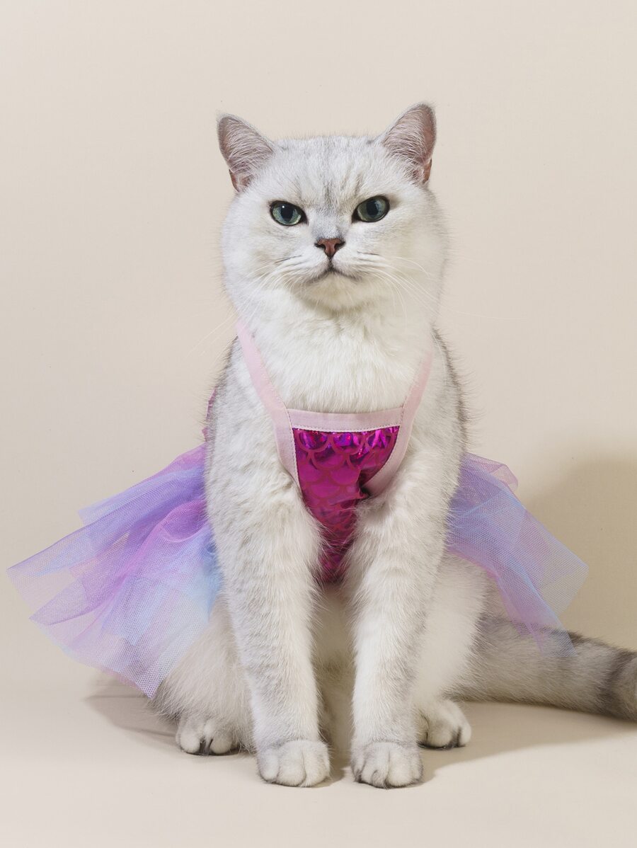 تنورة توتو 1 خلاب منحدر حورية البحر عقدة الفراشة منزلق