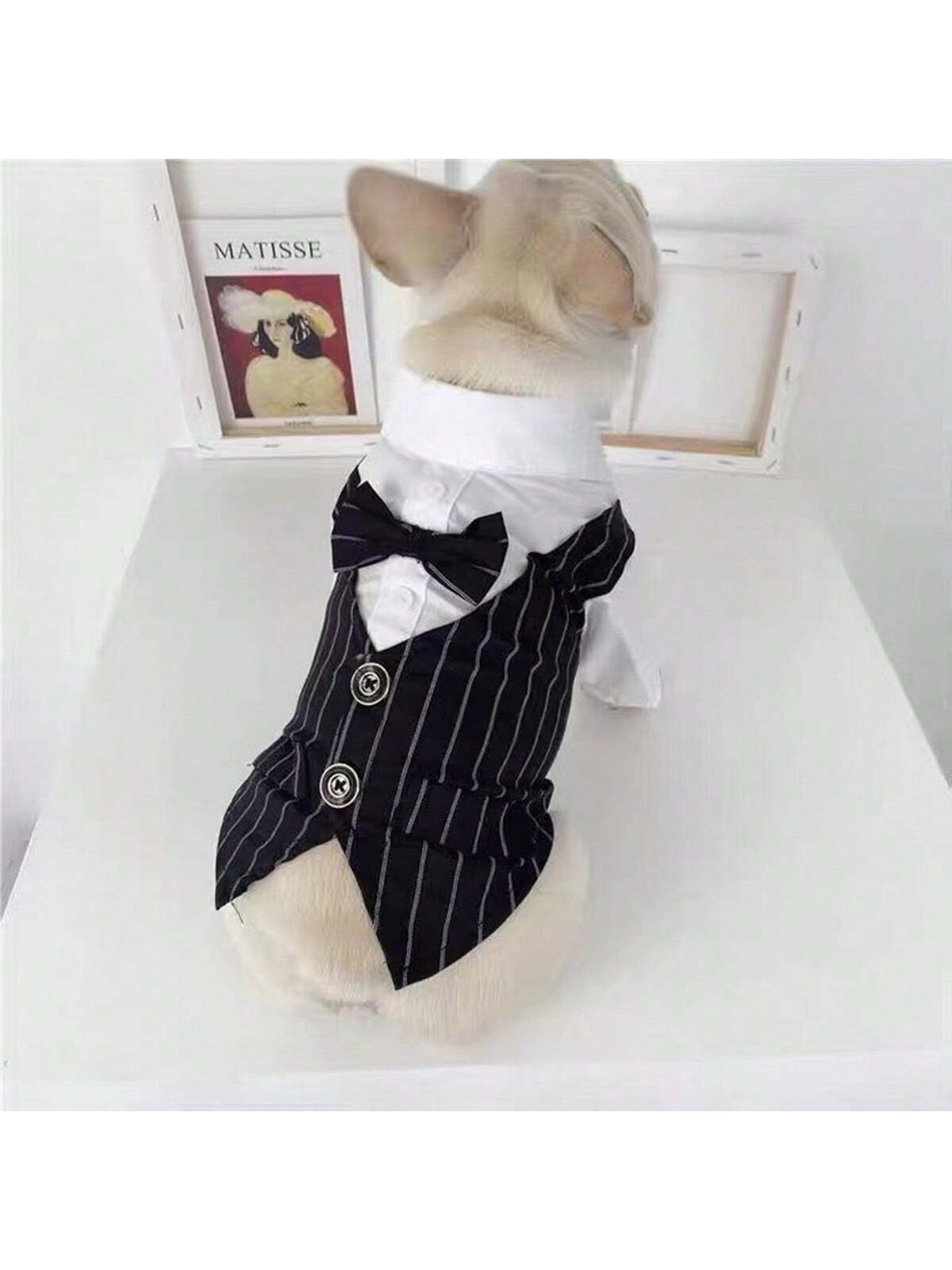 بدلة أسود للحيوانات الأليفة بزى سموكيدو ،مزدوج الأرجل، مزود بأزرار ،مع عقاب متكامل أسود & أبيض وطوق ، مناسب للمناسبات الرسمية واليومية
