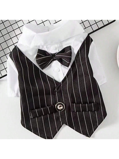 بدلة أسود للحيوانات الأليفة بزى سموكيدو ،مزدوج الأرجل، مزود بأزرار ،مع عقاب متكامل أسود & أبيض وطوق ، مناسب للمناسبات الرسمية واليومية