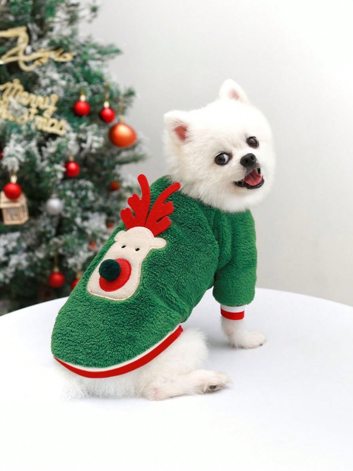 ملابس حيوانات اليفة