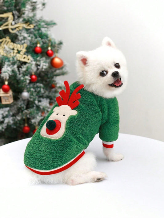 ملابس حيوانات اليفة