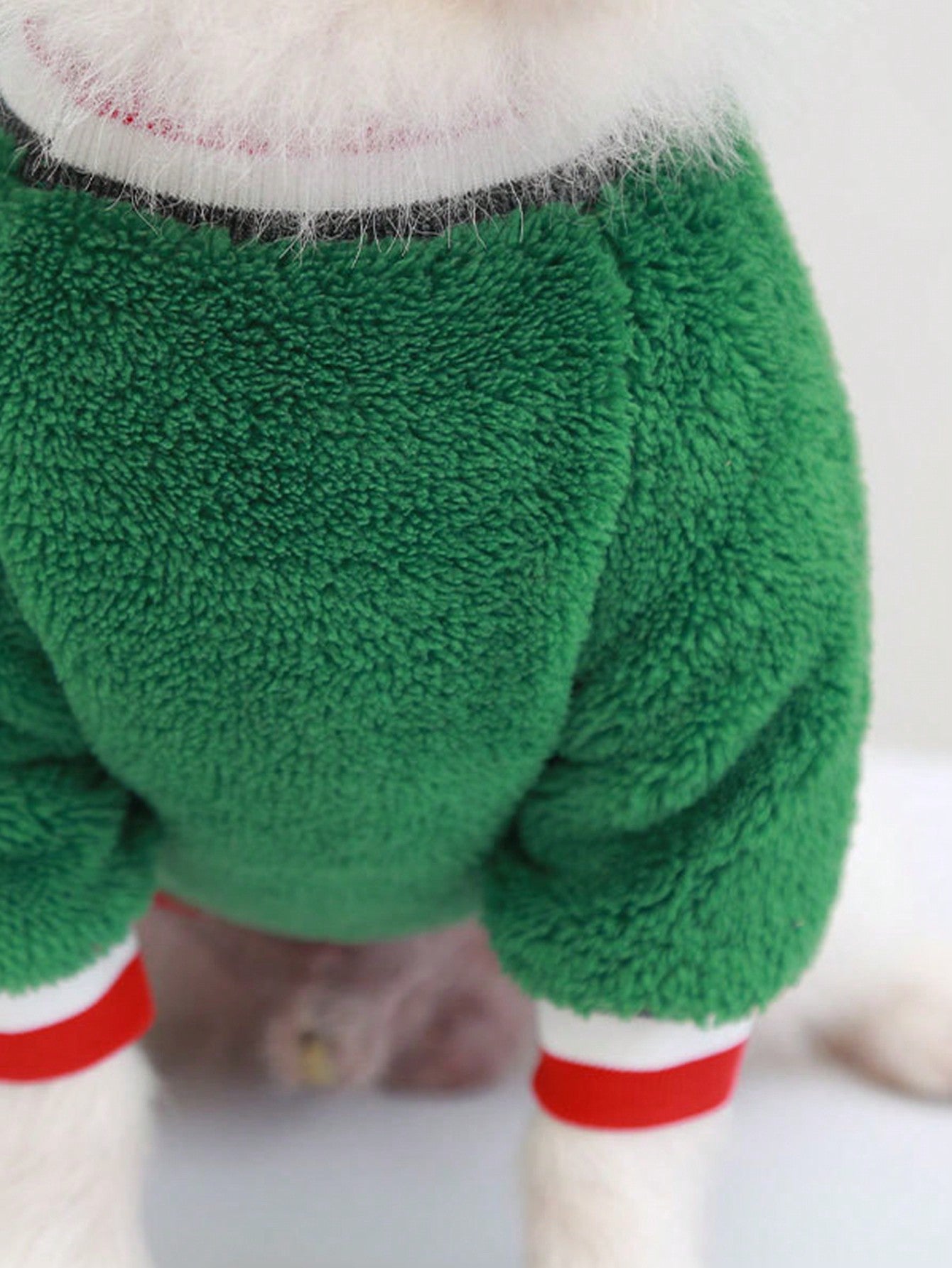 ملابس حيوانات اليفة