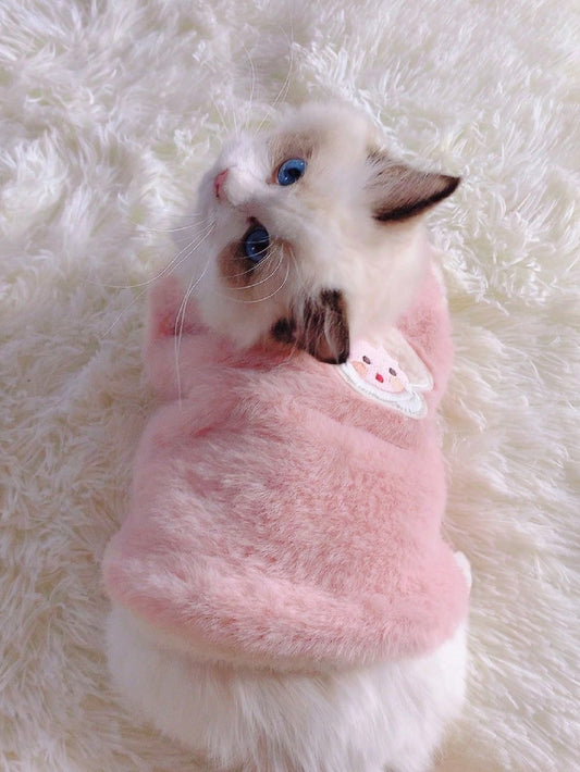 هوديس وبلايز ثقيلة حيوانات أليفة