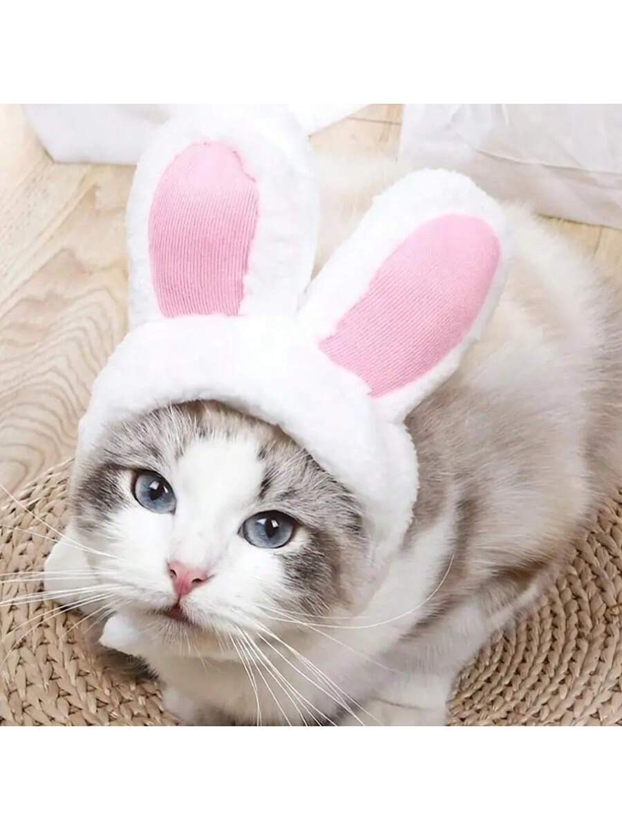 قبعة زي الحيوانات الأليفة، قلنسوة القطة وأذني الأسد والأرنب، قبعة الكلب، مستلزمات الحيوانات الأليفة الصغيرة للكلاب