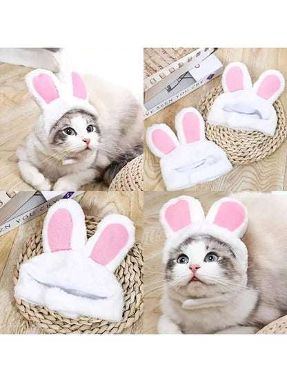 قبعة زي الحيوانات الأليفة، قلنسوة القطة وأذني الأسد والأرنب، قبعة الكلب، مستلزمات الحيوانات الأليفة الصغيرة للكلاب