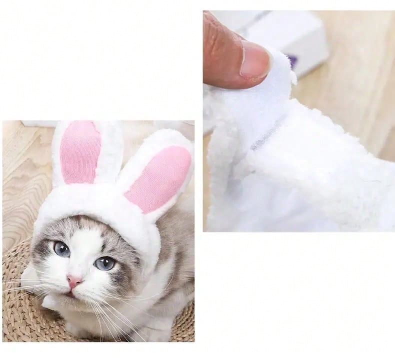 قبعة زي الحيوانات الأليفة، قلنسوة القطة وأذني الأسد والأرنب، قبعة الكلب، مستلزمات الحيوانات الأليفة الصغيرة للكلاب