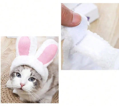 قبعة زي الحيوانات الأليفة، قلنسوة القطة وأذني الأسد والأرنب، قبعة الكلب، مستلزمات الحيوانات الأليفة الصغيرة للكلاب