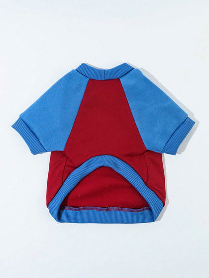 هودي وبلايز ثقيلة حيوانات أليفة