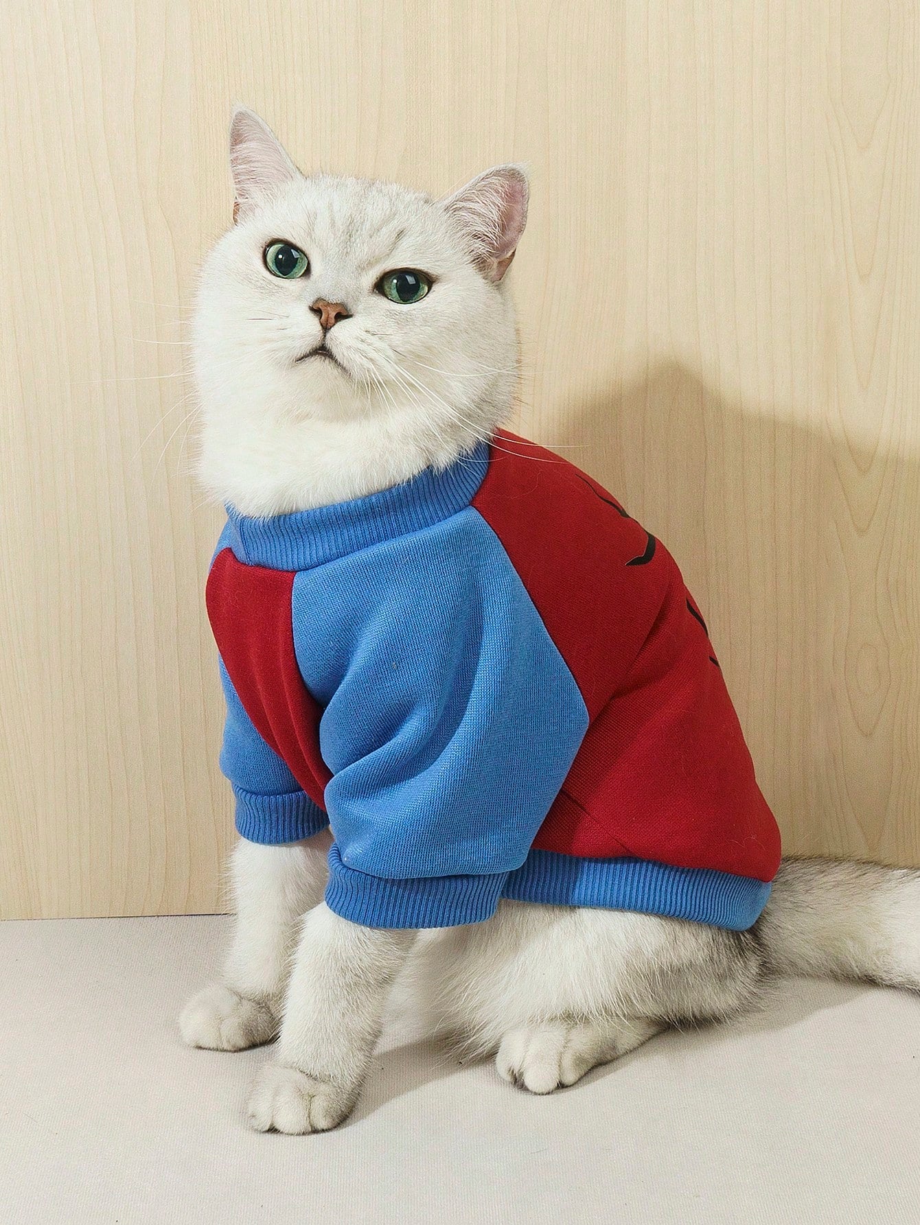 هودي وبلايز ثقيلة حيوانات أليفة