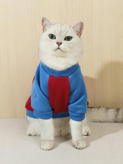 هودي وبلايز ثقيلة حيوانات أليفة