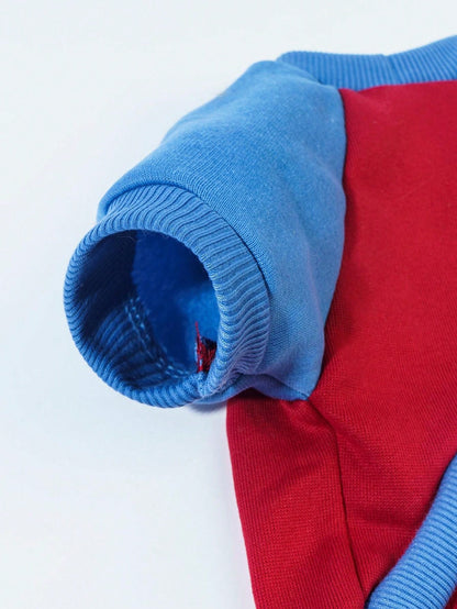 هودي وبلايز ثقيلة حيوانات أليفة