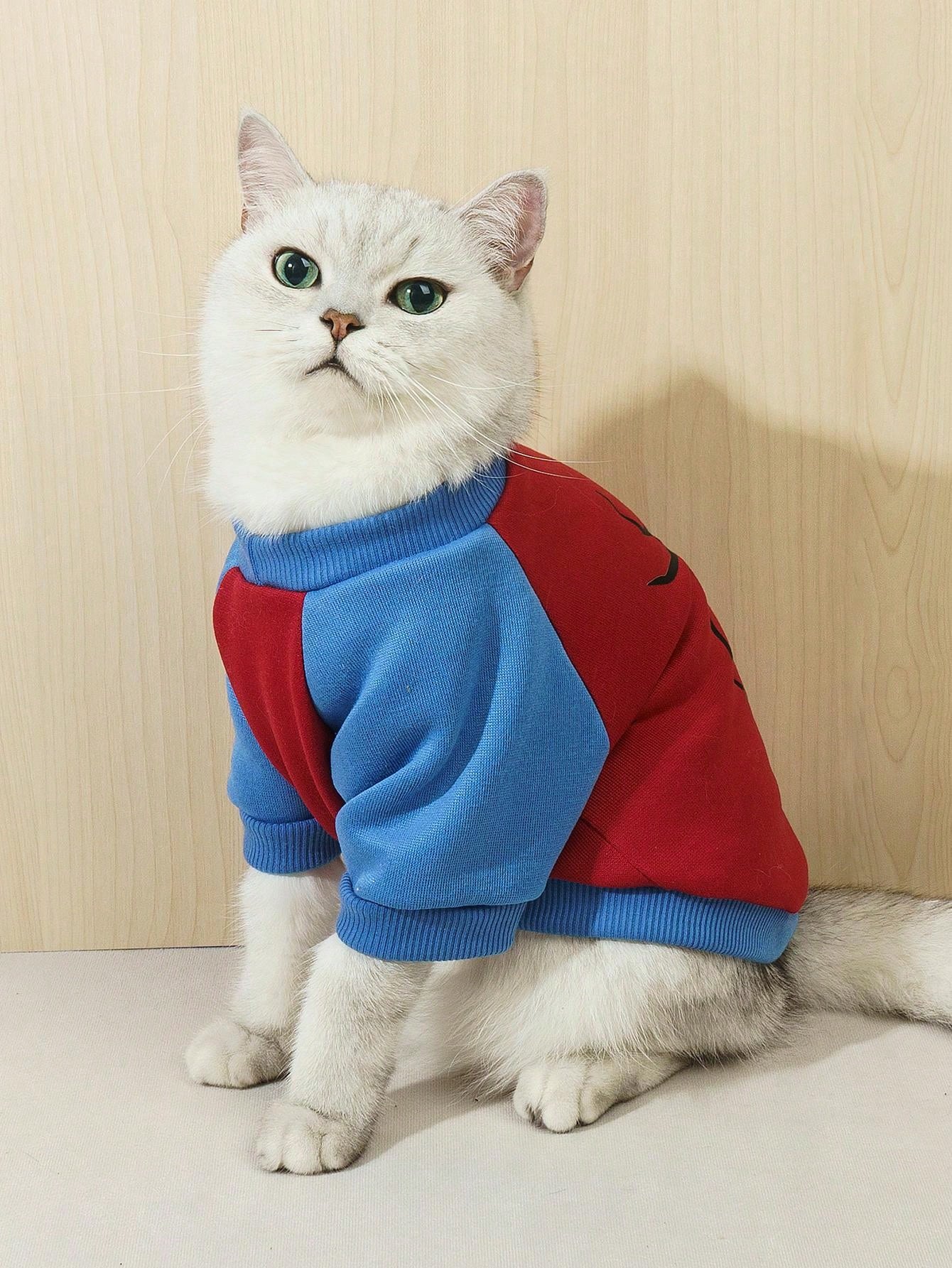 هودي وبلايز ثقيلة حيوانات أليفة