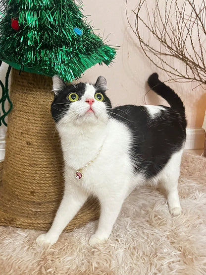 قلادة قلب الحيوانات الأليفة - طوق قابل للتعديل، يحتوي على لؤلؤ صناعي، يناسب الكلاب والقطط والحيوانات الصغيرة - إكسسوار عصري ومريح لحيوانك الأليف الحبيب