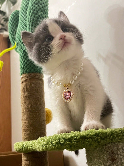 قلادة قلب الحيوانات الأليفة - طوق قابل للتعديل، يحتوي على لؤلؤ صناعي، يناسب الكلاب والقطط والحيوانات الصغيرة - إكسسوار عصري ومريح لحيوانك الأليف الحبيب