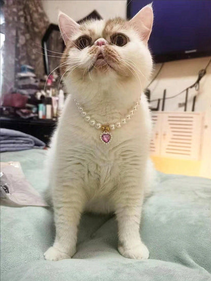 قلادة قلب الحيوانات الأليفة - طوق قابل للتعديل، يحتوي على لؤلؤ صناعي، يناسب الكلاب والقطط والحيوانات الصغيرة - إكسسوار عصري ومريح لحيوانك الأليف الحبيب