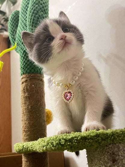 قلادة قلب الحيوانات الأليفة - طوق قابل للتعديل، يحتوي على لؤلؤ صناعي، يناسب الكلاب والقطط والحيوانات الصغيرة - إكسسوار عصري ومريح لحيوانك الأليف الحبيب