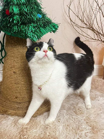 قلادة قلب الحيوانات الأليفة - طوق قابل للتعديل، يحتوي على لؤلؤ صناعي، يناسب الكلاب والقطط والحيوانات الصغيرة - إكسسوار عصري ومريح لحيوانك الأليف الحبيب