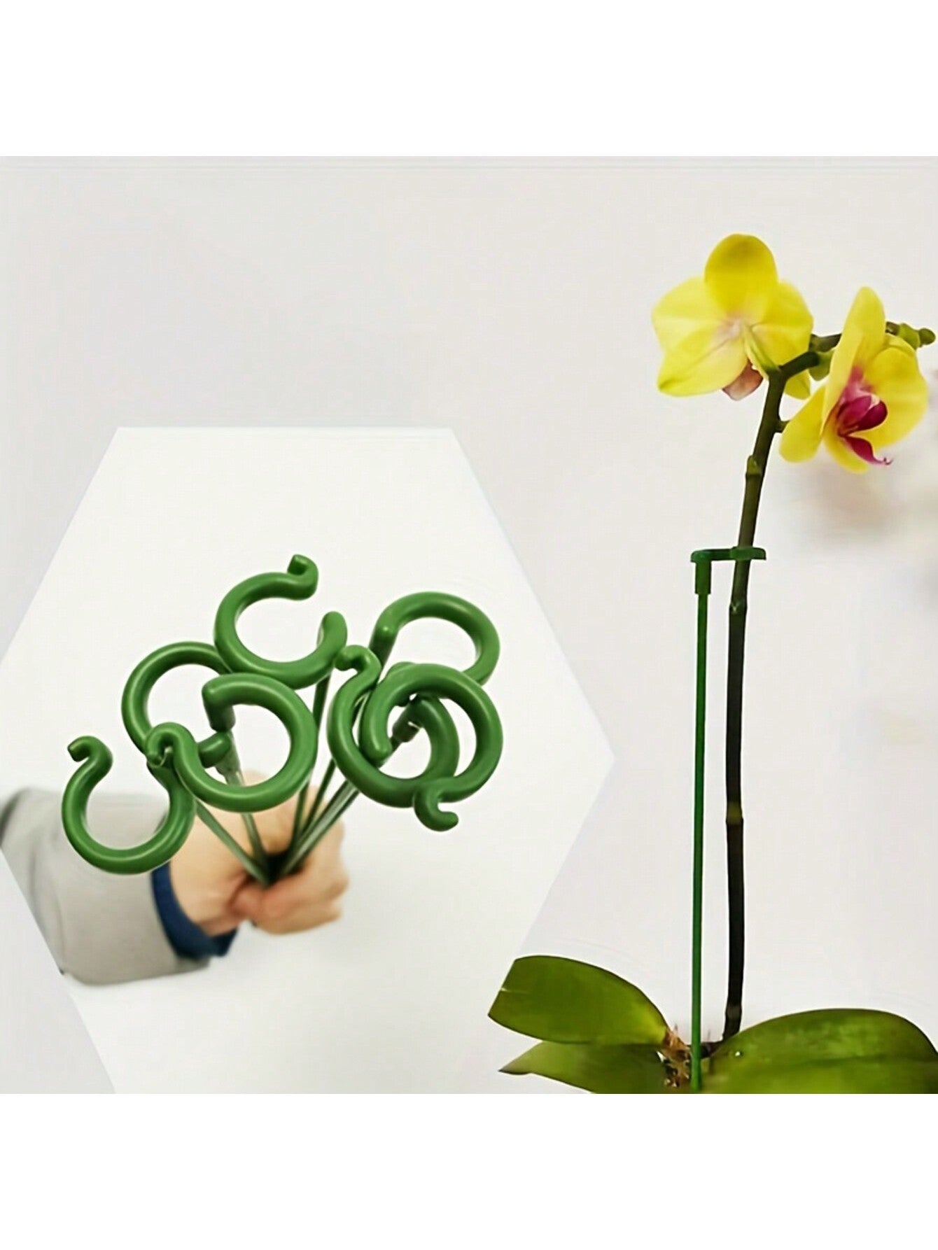 عصا دعم النبات (5-10 قطع) حامي نبات الزهور في الأواني، ثابت الأوركيدا لمنع الانحناء، تستخدم للحدائق المنزلية 10.62بوصة*0.59بوصة*1.42بوصة