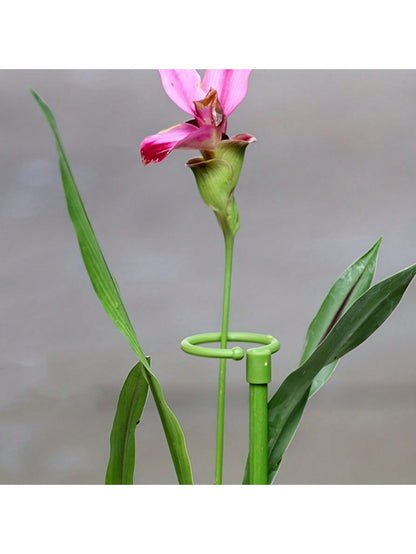 عصا دعم النبات (5-10 قطع) حامي نبات الزهور في الأواني، ثابت الأوركيدا لمنع الانحناء، تستخدم للحدائق المنزلية 10.62بوصة*0.59بوصة*1.42بوصة