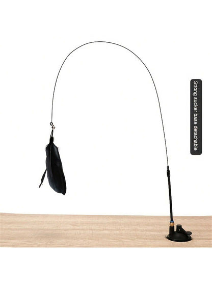 ريشة ديكور القط