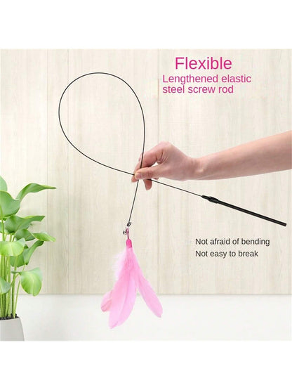 ريشة ديكور القط