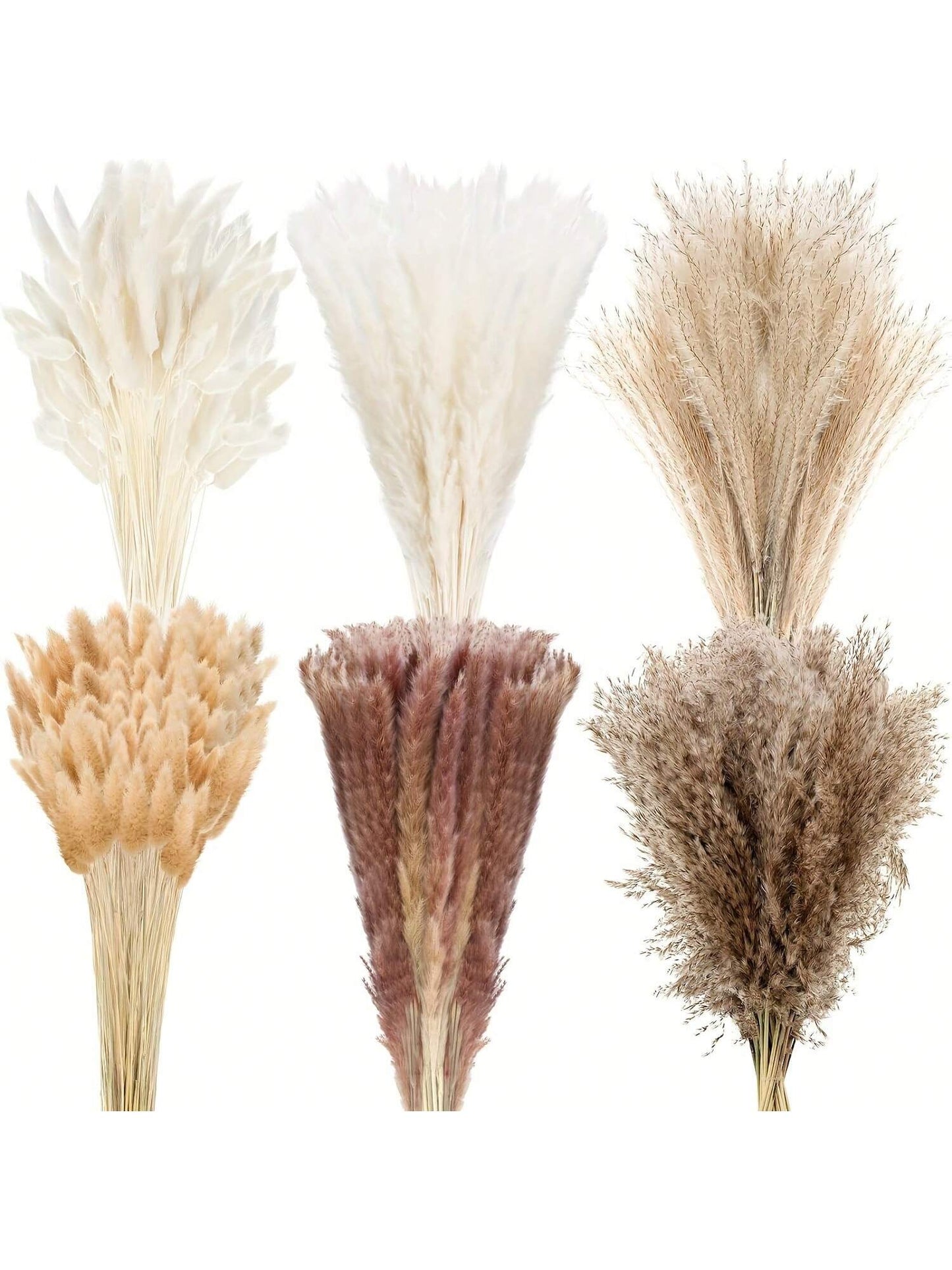 باقة من أوراق  المجففة 220 قطعة، 17.3 بوصة (حوالي 44 سم)، باقة ذيل الأرنب، نمط بوهيمي للديكور الزفاف والمنزل وطاولة العشاء والحفلات