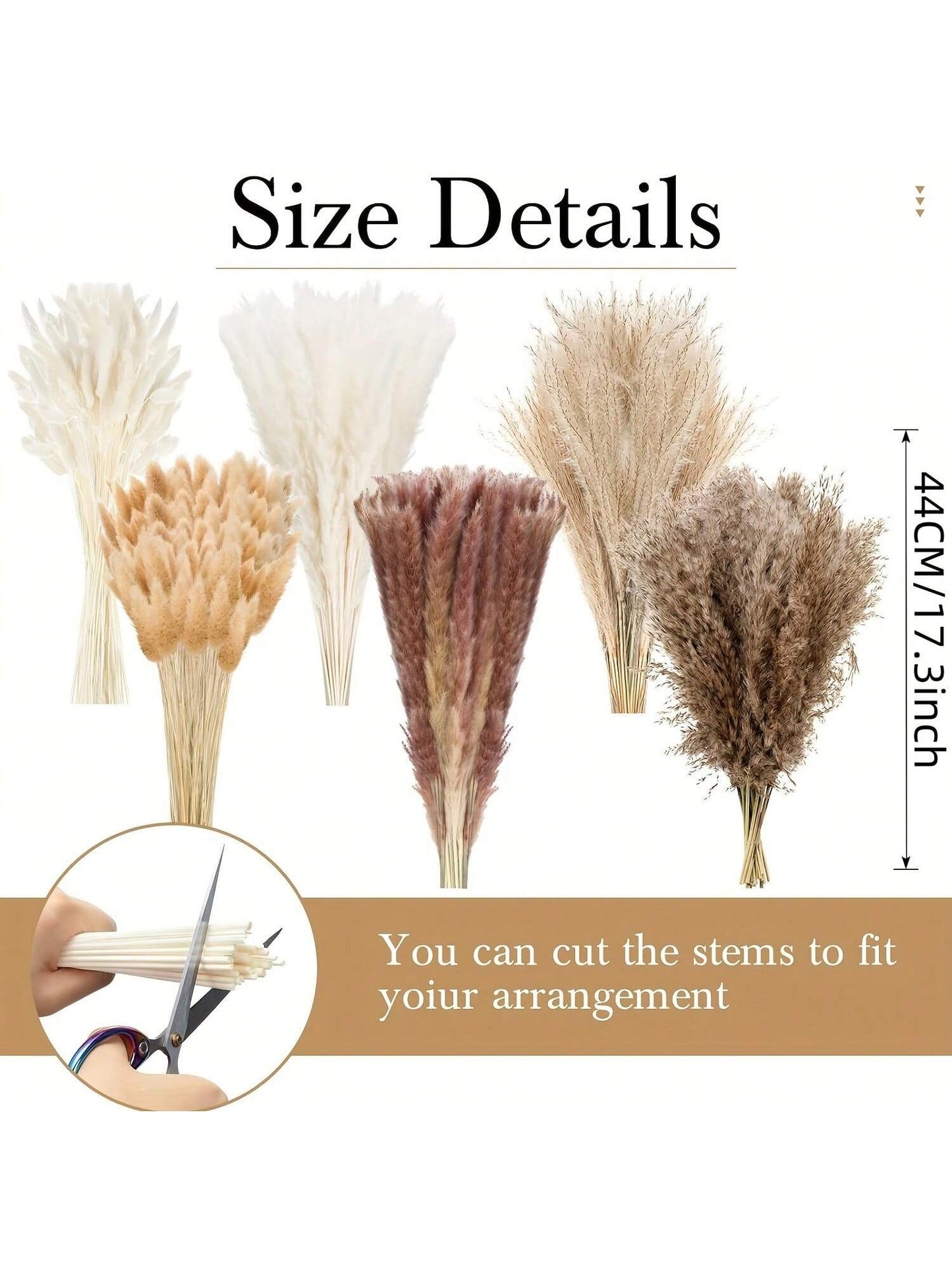 باقة من أوراق  المجففة 220 قطعة، 17.3 بوصة (حوالي 44 سم)، باقة ذيل الأرنب، نمط بوهيمي للديكور الزفاف والمنزل وطاولة العشاء والحفلات