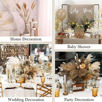 باقة من أوراق  المجففة 220 قطعة، 17.3 بوصة (حوالي 44 سم)، باقة ذيل الأرنب، نمط بوهيمي للديكور الزفاف والمنزل وطاولة العشاء والحفلات